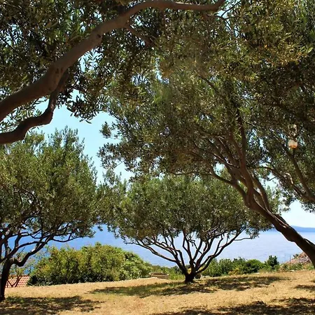 Holiday home Robinson House Falcon's Nest Bol